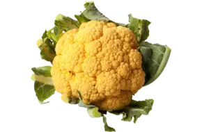 Bloemkool oranje groot
