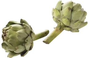 Artisjokken