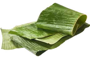Bananenblad lang