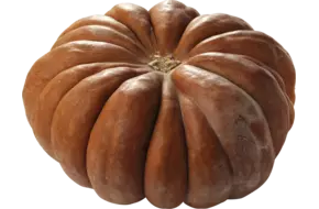 Pompoen muskaat ong 5 tot 7 kilo