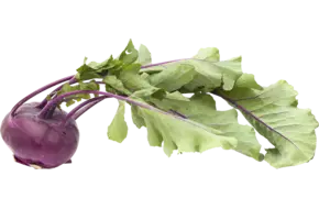 Koolrabi paars