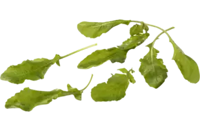 Wilde rucola 50gr.