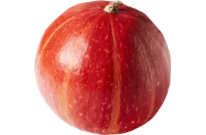 Pompoen Connecticut 5,5 kilo