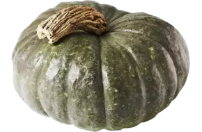 Pompoen Blue Kuri 2 tot 4 kilo