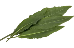 Waterzuring 50gr.