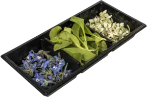 Borage bloem trio 60st