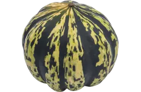 Ananas pompoen