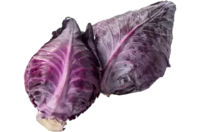 Spitskool paars