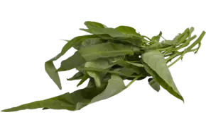 Waterspinazie 250gr