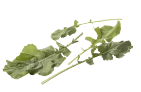 Mergkool groen verpakt 250gr
