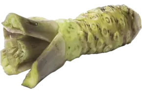 Wasabi 125gr-150gr
