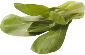 Shanghai Paksoi