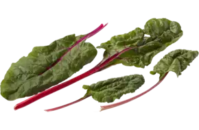 Snijbiet rood verpakt 250gr