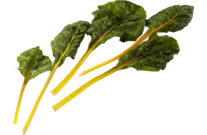Snijbiet geel verpakt 250gr