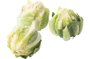 Mini bloemkool wit 4st