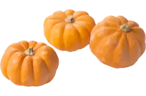 Mini muskaat pompoen maat 18