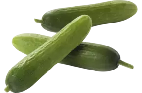 Mini snackkomkommers 9-11cm 27-45gr
