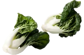 Mini paksoi (bokchoi)