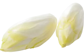 Mini brussels witlof 2,5kg