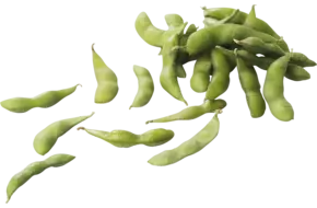 Edamame bonen ongepeld (diepvries) 500gr