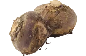 Koolraap +-- 1kg