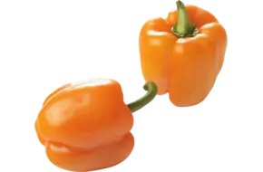 Paprika oranje verpakt 3st