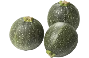 Courgette bol