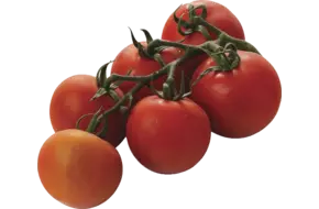 Trostomaten verpakt 750gr