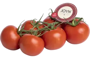 Tomaten Joyn