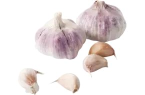 Knoflook rood verpakt 1kg