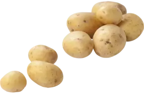 Charlotte aardappelen 1kg