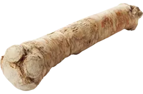 Mierikswortel