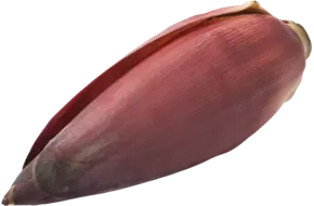 Bananenbloem kist 2 kilogram