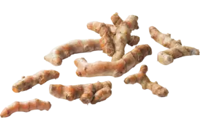 BIO kurkuma (turmeric)