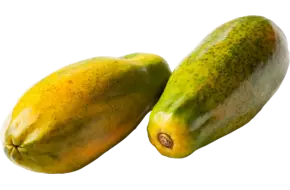 Papaya formosa by air kist 3 stuks