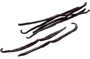 Gousse de vanille 100g pièce
