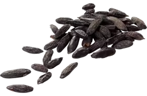 Tonkabonen 100gr