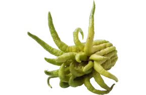 Buddha Fingers