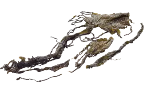 Wakame 250gr