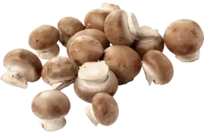 Mini kastanje champignons los