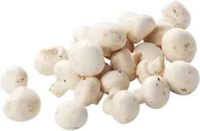 Champignons mini los (muizenogen)