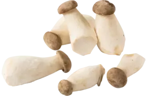 Mini king oyster 300gr