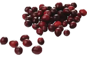 Vossenbessen (diepvries) 500gr