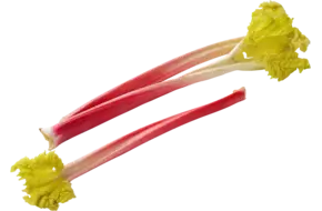 Rabarber verpakt 1kg