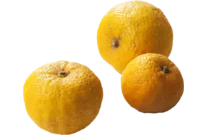 Yuzu limes verpakt 500gr