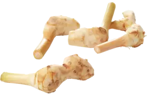 Laos - galangal verpakt 250gr