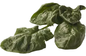 Wilde spinazie belgie verpakt 1kg