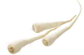 Peterseliewortel verpakt 1kg
