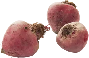 Chioggia bieten verpakt 1kg
