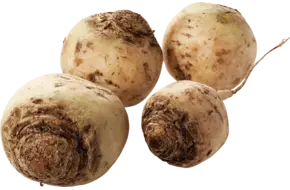 Bieten wit verpakt 1kg